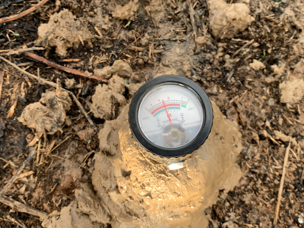 ภาพที่ 1