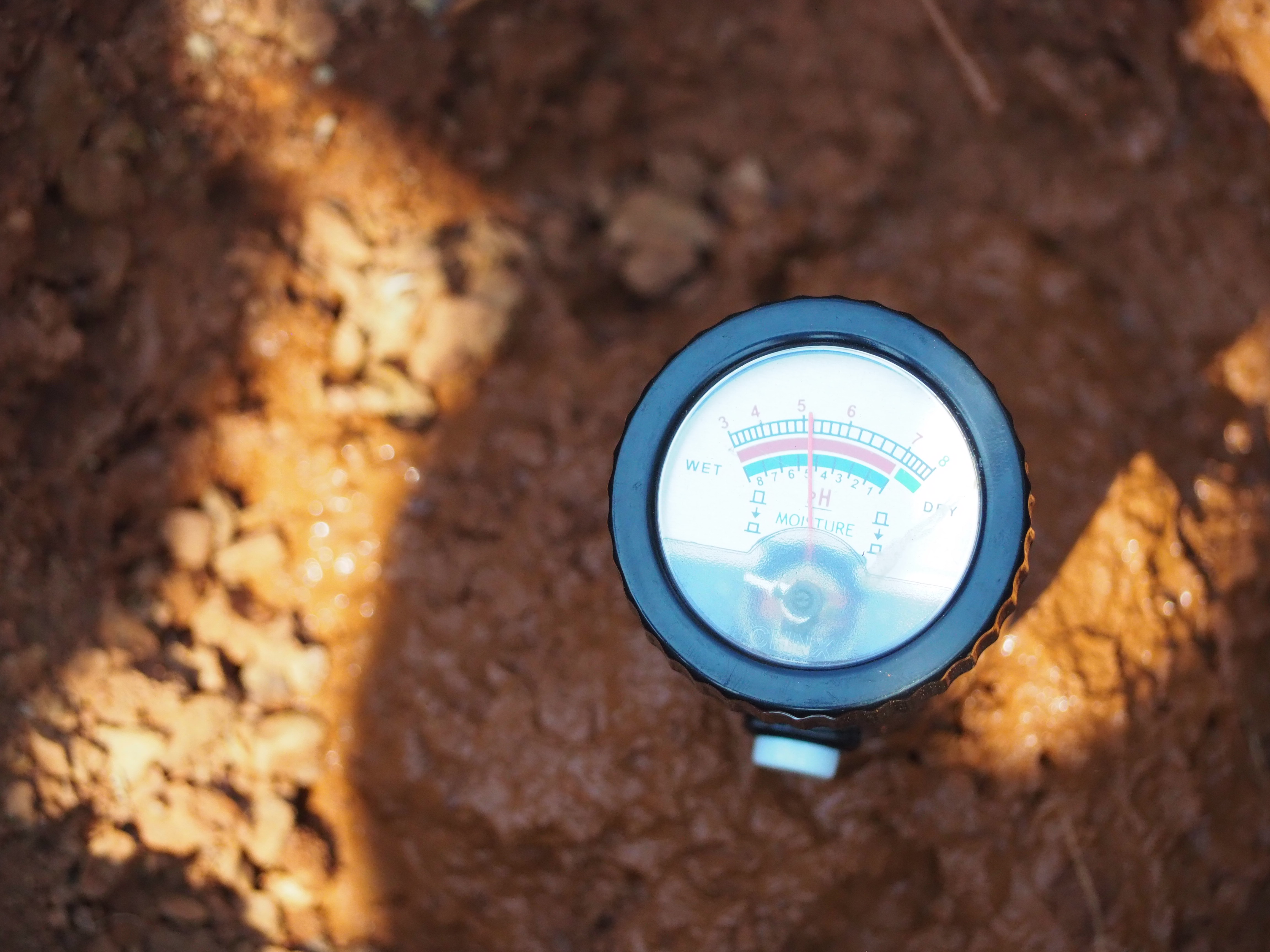 ภาพที่ 2