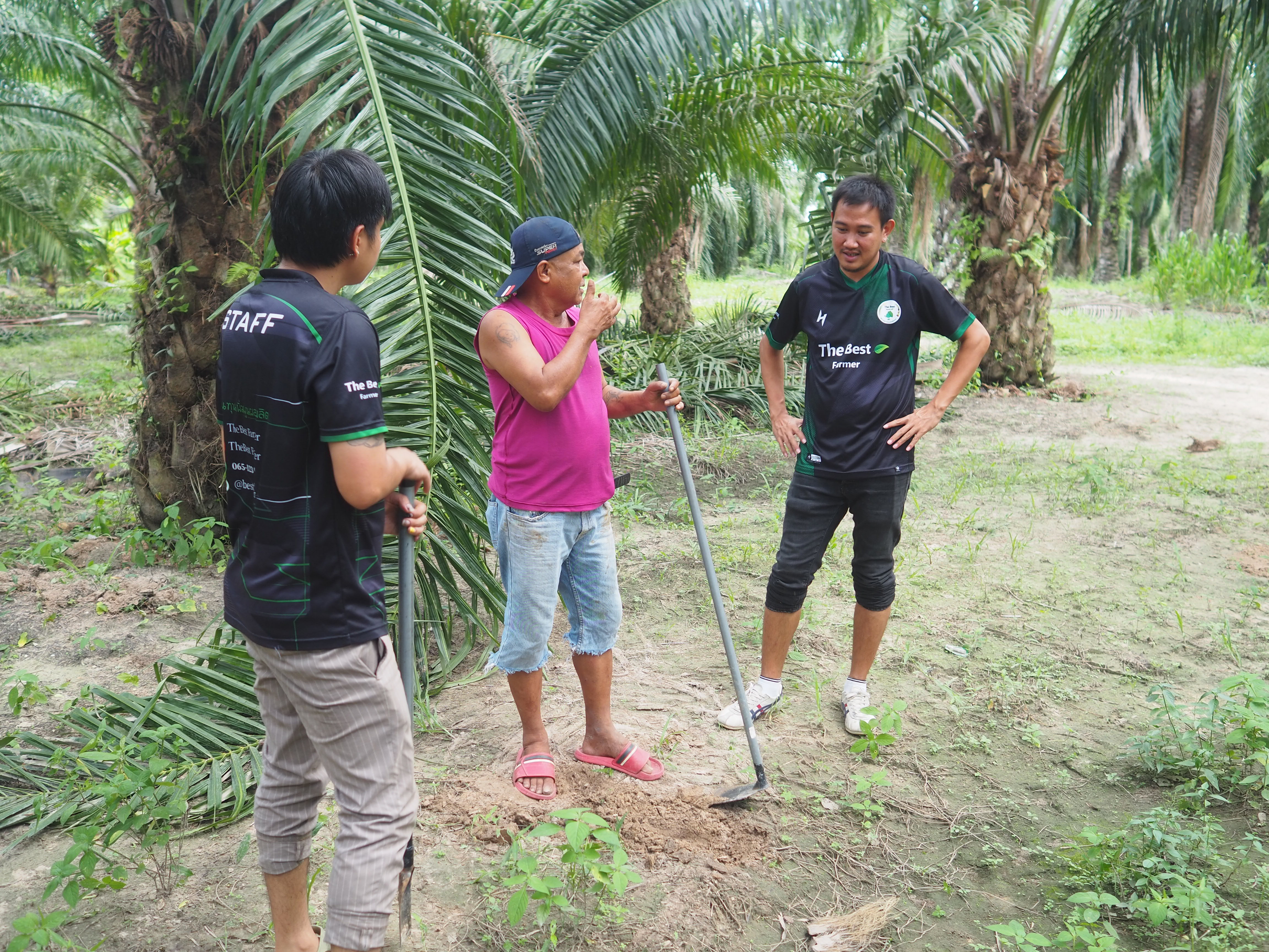 ภาพที่ 2