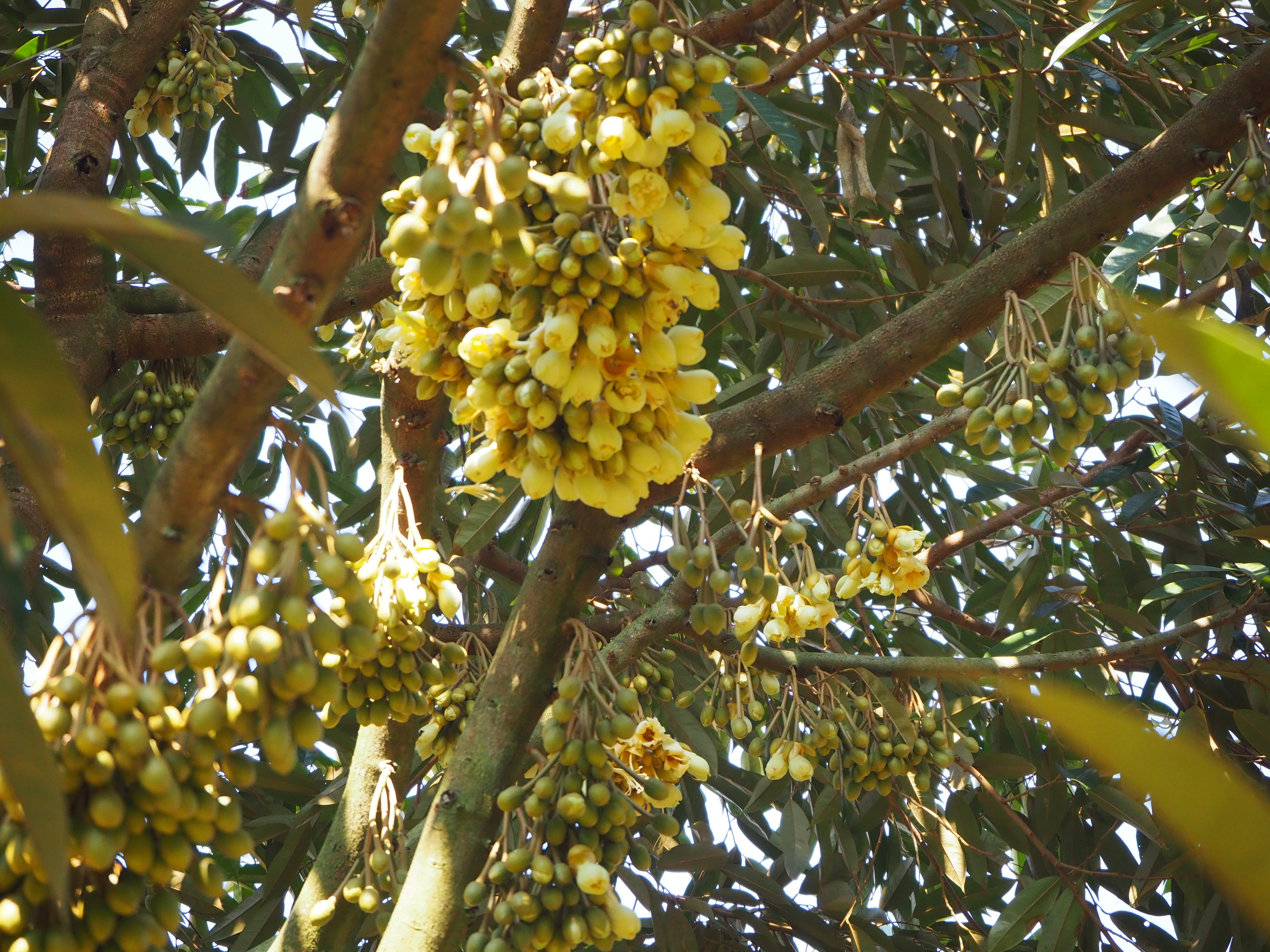 ภาพที่ 4