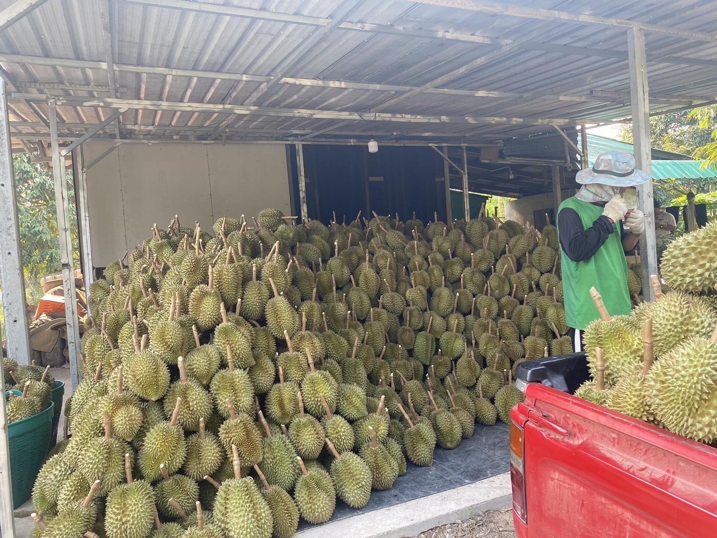 ภาพที่ 8