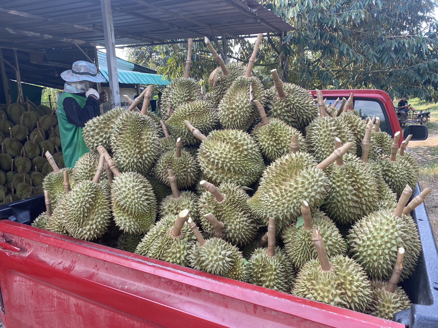 ภาพที่ 9