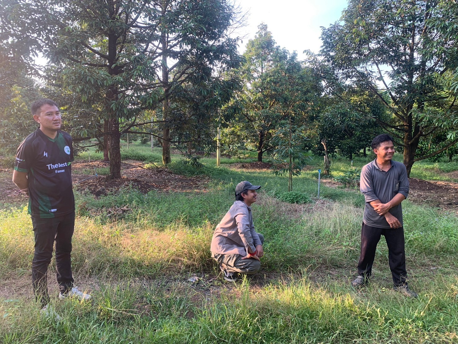 ภาพที่ 1