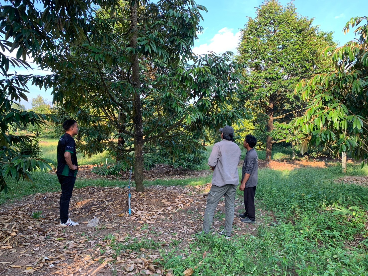 ภาพที่ 2