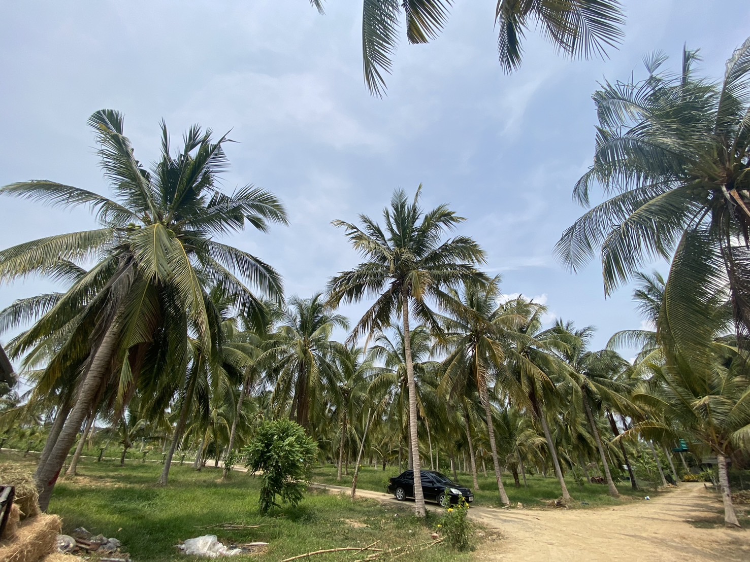 ภาพที่ 1