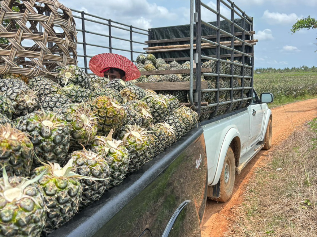 ภาพที่ 3