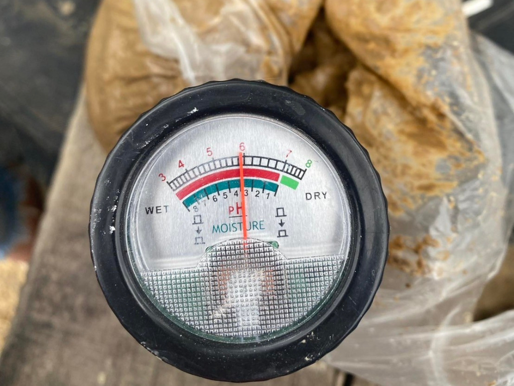 ภาพที่ 1